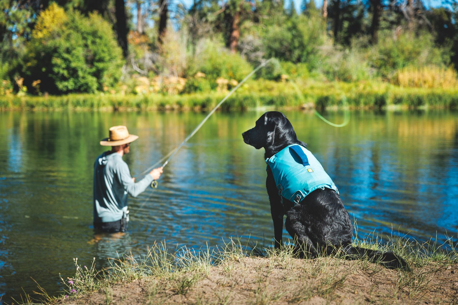 Black dog wearing the Ruffwear Confluence dog life jacket in Biolumin Blue sitting on the riverbank watching a man fly fishing in a calm river.