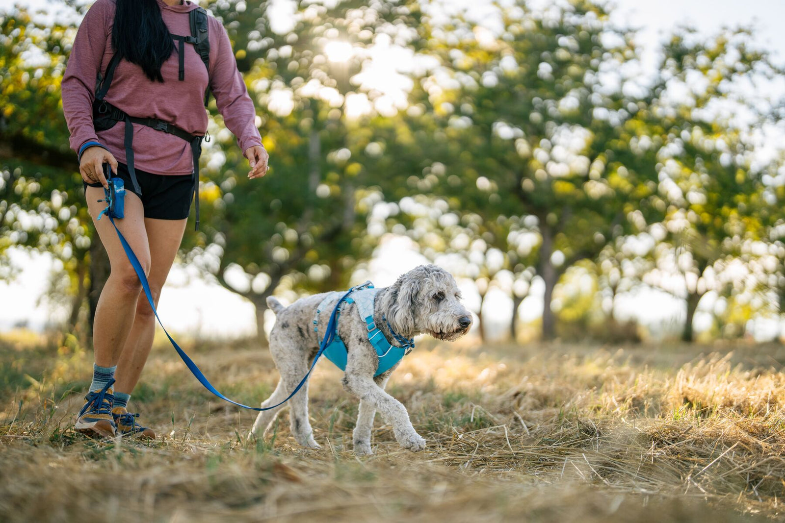 Dog wearing Ruffwear Swamp Cooler Harness outdoors, handler visible in background
