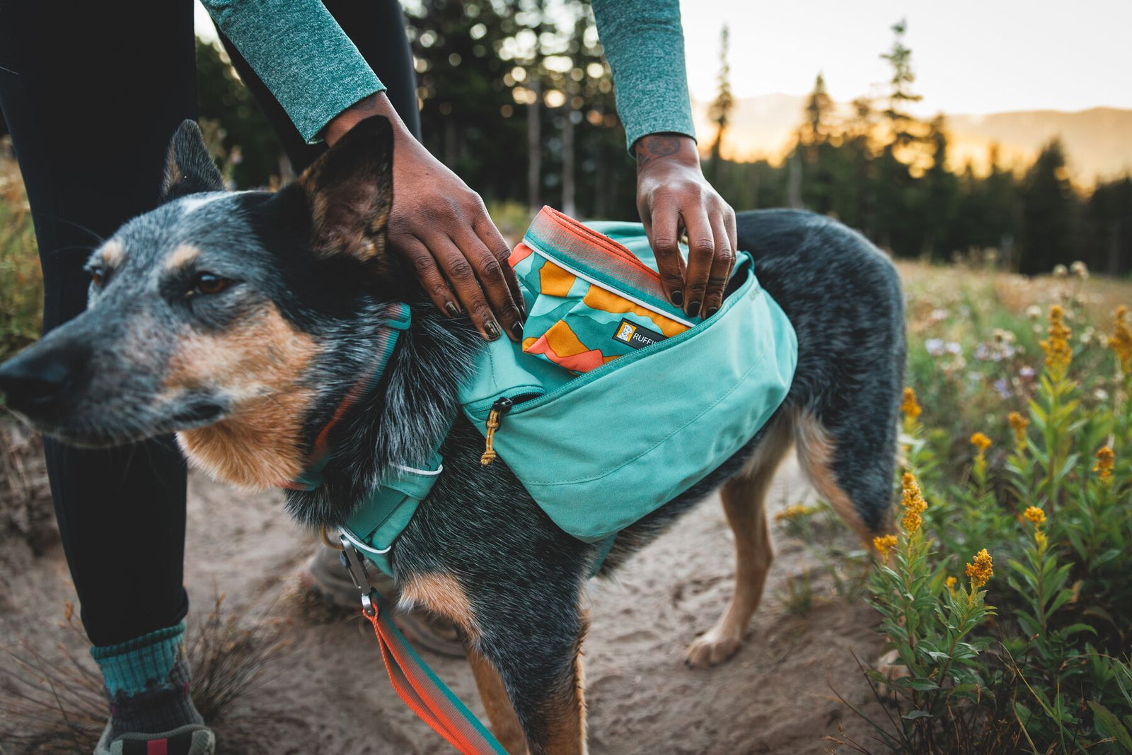 Person placing Ruffwear Quencher Bowl into dog's harness on a trail