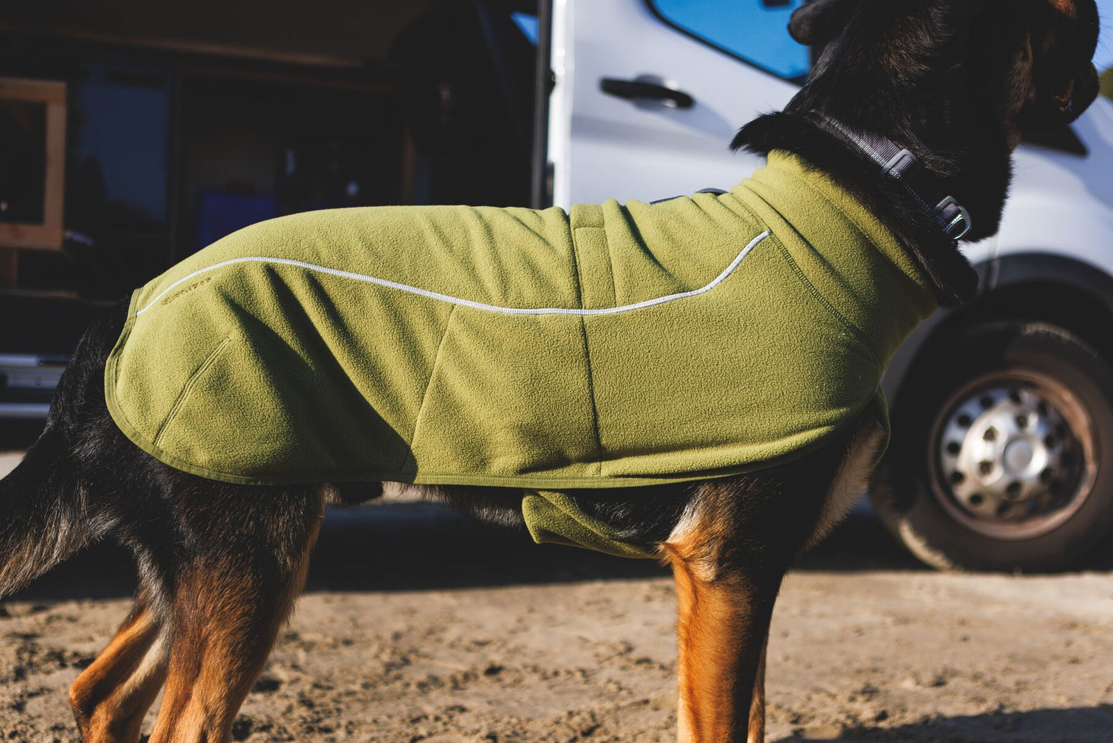 Dog being fitted with the Ruffwear Climate Changer Fleece Vest in Cedar Green