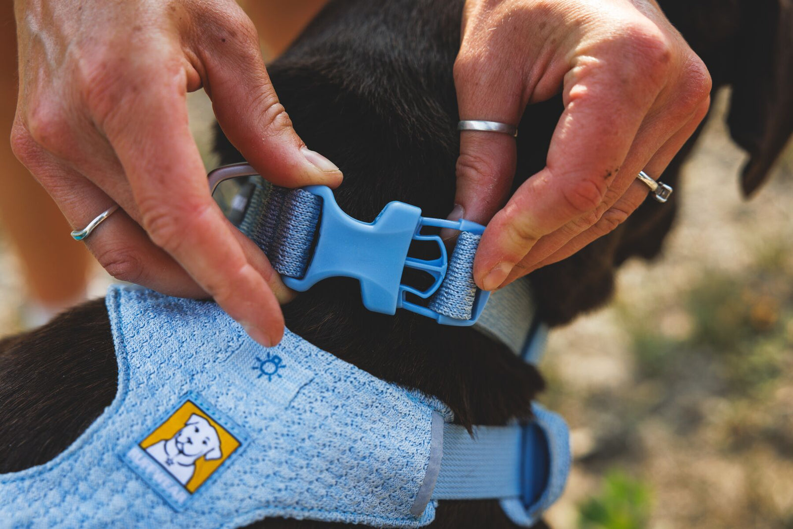 Ruffwear Front Range Flex Collar in Polar Blue Buckle Close Up