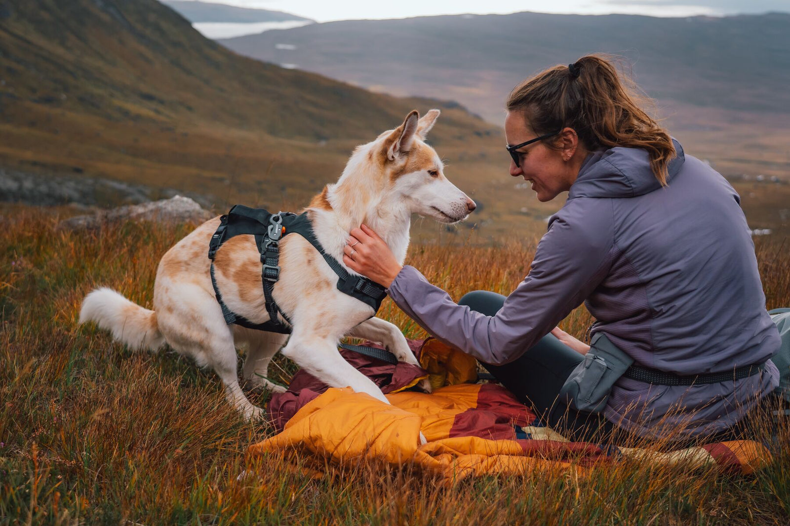 Woman sitting on a sleeping bag in open moorland, smiling at her cream dog wearing the Ruffwear Ridgeline harness in Obsidian Black, autumn hills and loch visible in the background