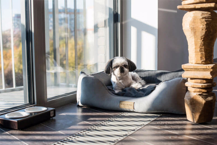 Bowl & Bone Republic Classic Bed Grey, Dog Bed | Barks & Bunnies