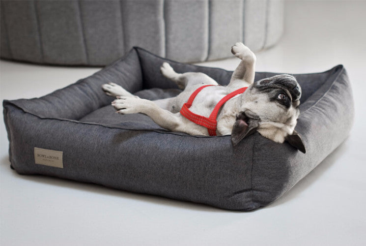 Bowl & Bone Republic Urban Bed Navy, Dog Bed | Barks & Bunnies