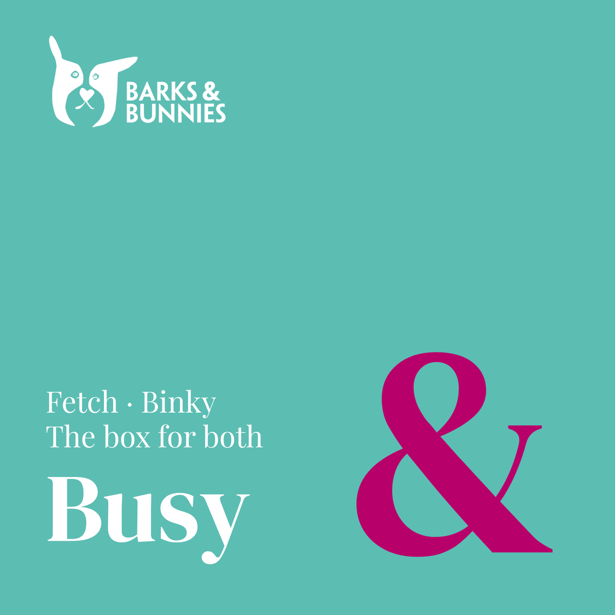 The Fetch &amp; Binky Box - Busy. A subscription box for dogs and rabbits. Teal background with a small pink ampersand and white text reading Fetch · Binky, The box for both, Busy.