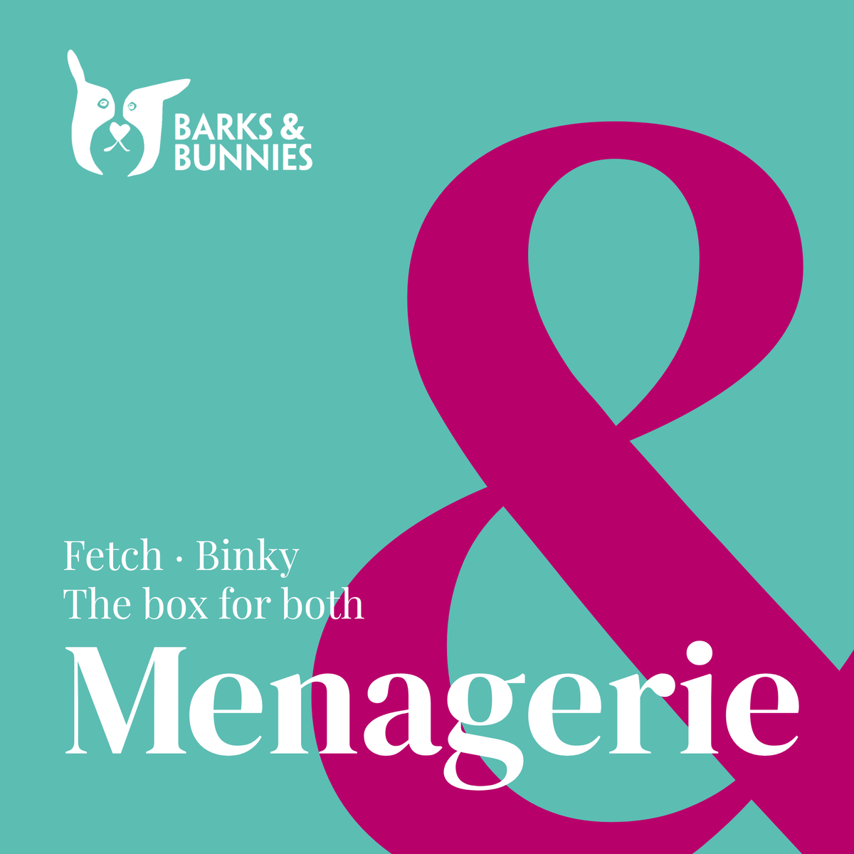 The Fetch &amp; Binky Box - Menagerie. A subscription box for dogs and rabbits. Teal background with a large pink ampersand and white text reading Fetch · Binky, The box for both, Menagerie
