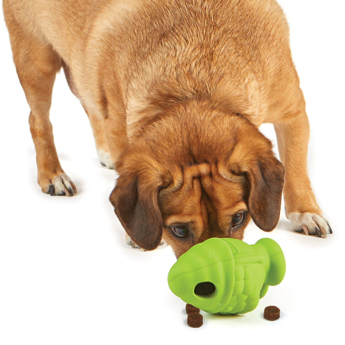 Brightkins Gnome Treat Dispenser Interactive Dog Toy | Barks & Bunnies