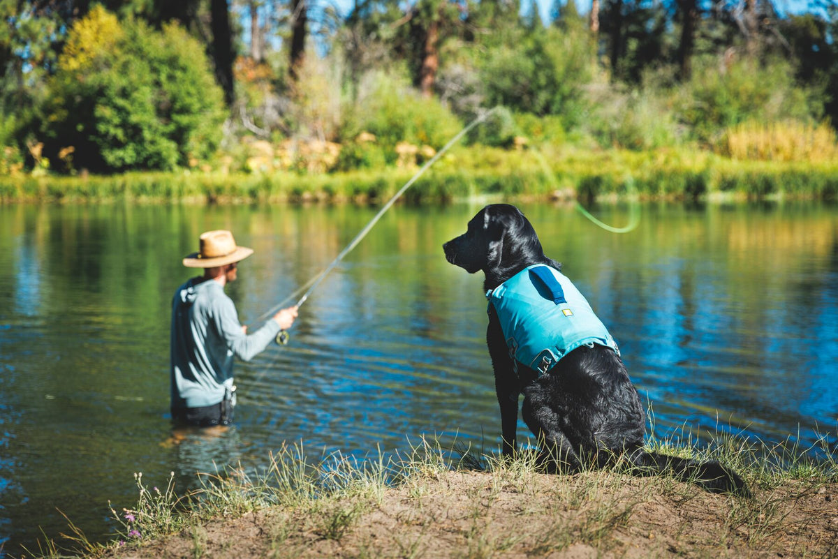 Black dog wearing the Ruffwear Confluence dog life jacket in Biolumin Blue sitting on the riverbank watching a man fly fishing in a calm river.