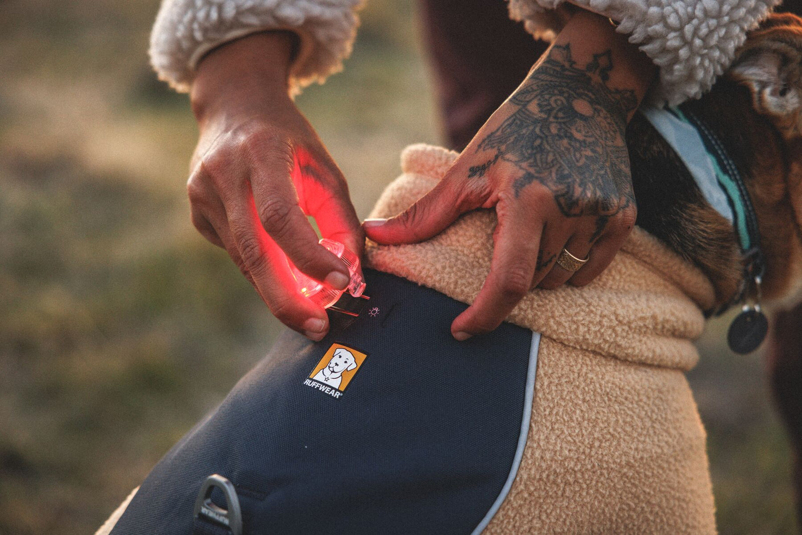 Close-up of owner attaching Beacon safety light to Ruffwear Timberline Fuse fleece vest in Driftwood, showing Ruffwear branding on back panel and integrated harness construction