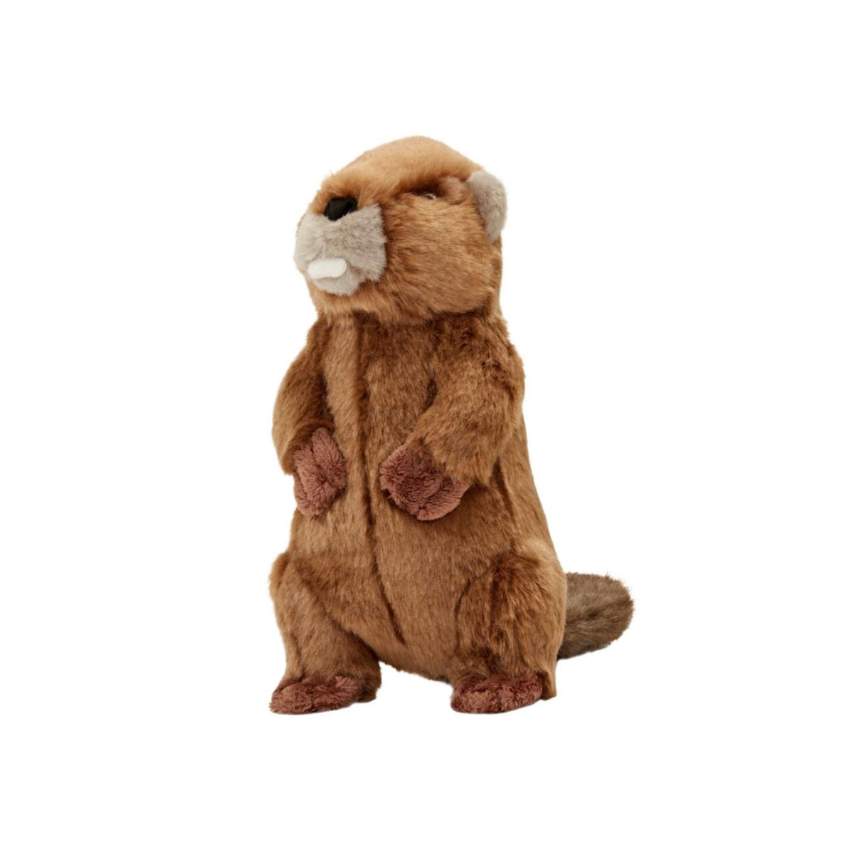 Fluff &amp; Tuff Troy Beaver medium plush dog toy standing upright on white background