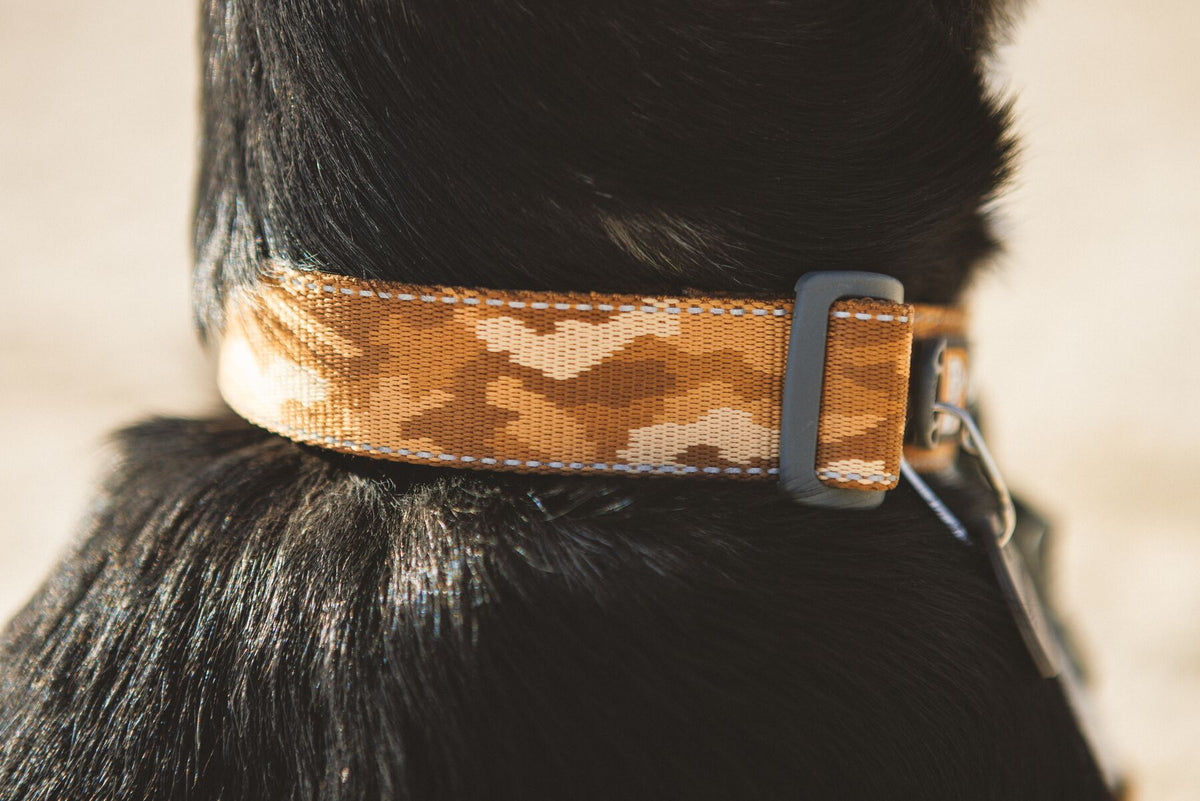 Ruffwear Crag Reflective Dog Collar in Desert Spice worn on a black dog - warm tan geometric camo pattern shown close up at the neck - Barks &amp; Bunnies, UK Ruffwear stockist
