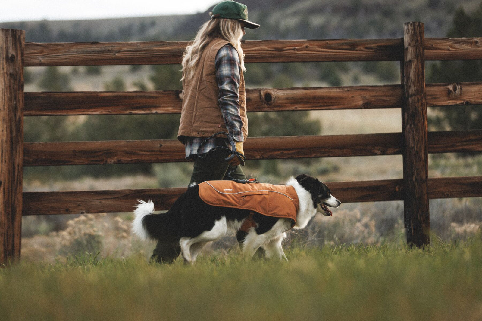 Border collie walking beside owner on grass farmland wearing Ruffwear Overcoat Fuse insulated dog harness vest in Brown Bear - warm winter dog coat with built-in harness for cold weather walks and outdoor adventures