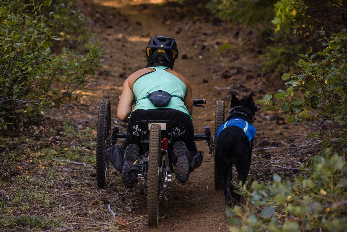 Rear view of a woman on an adaptive mountain bike riding a forest trail with a black dog running alongside wearing a blue Ruffwear harness, the Pack Out Bag visible at her waist