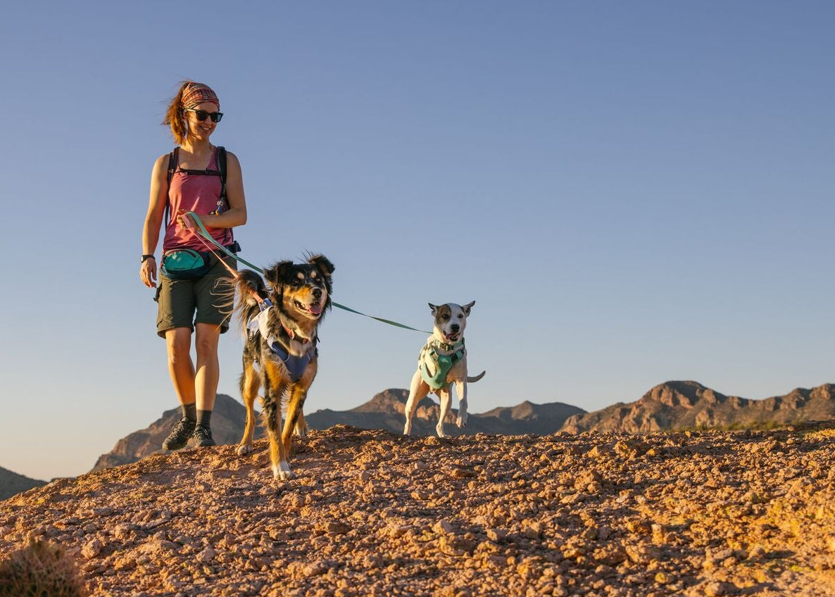 Woman hiking with two dogs on the Ruffwear Hi & Light Dog Lead in Sage Green, desert mountain landscape, Arizona