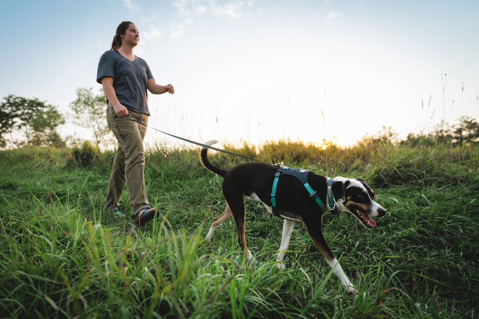 Woman walking a dog on the Ruffwear Hi & Light Dog Lead in Basalt Gray through long grass at golden hour