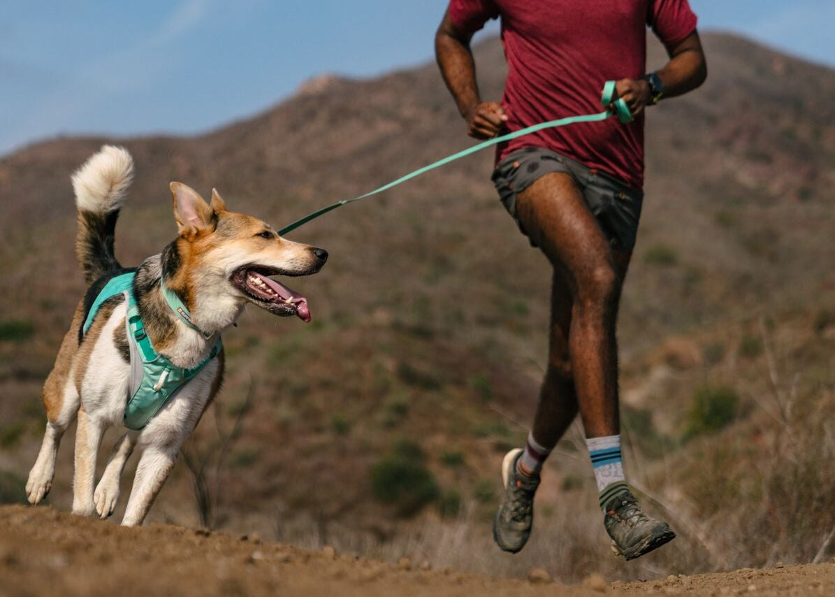 Person running on a trail with a dog wearing a Ruffwear Swamp Cooler Zip harness on the Ruffwear Hi & Light Dog Lead in Sage Green, mountain landscape background