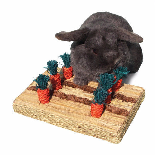 Rosewood Boredom Breaker Carrot Play Patch | Barks &amp; Bunnies