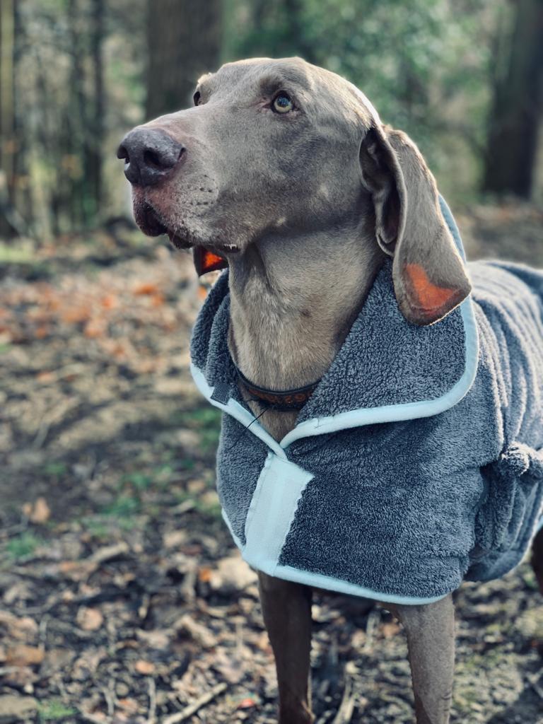 Henry Wag Microfibre Dog Drying Coat | Barks &amp; Bunnies