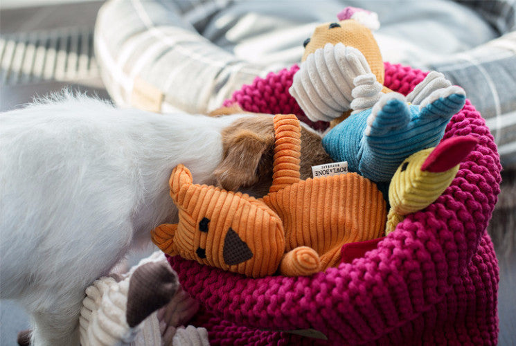 Bowl &amp; Bone Republic Cotton Basket Navy, Dog Toy Storage | Barks &amp; B..