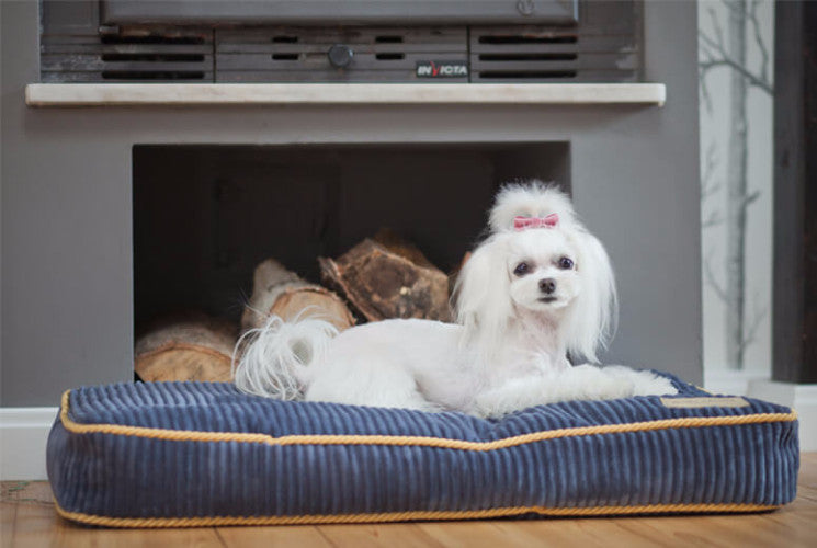 Bowl &amp; Bone Republic Deco Cushion Sapphire, Dog Bed | Barks &amp; Bunnies