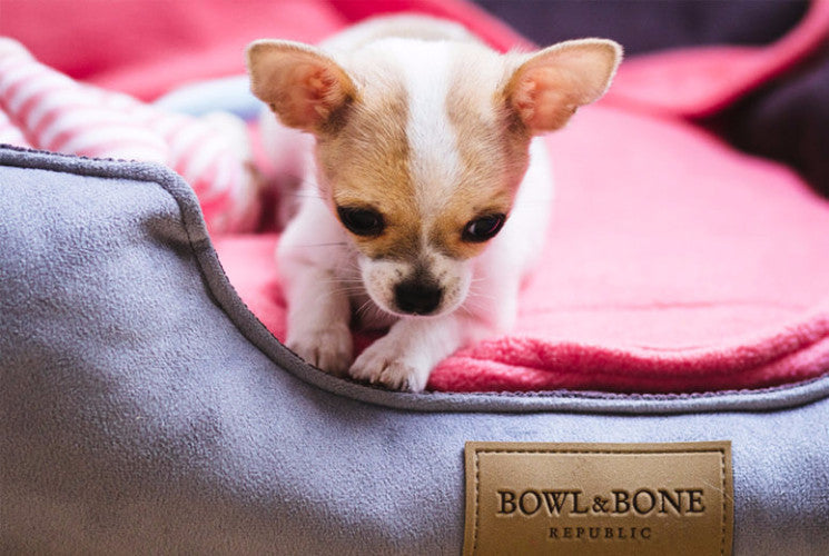 Bowl &amp; Bone Republic Classic Bed Pink, Dog Bed | Barks &amp; Bunnies