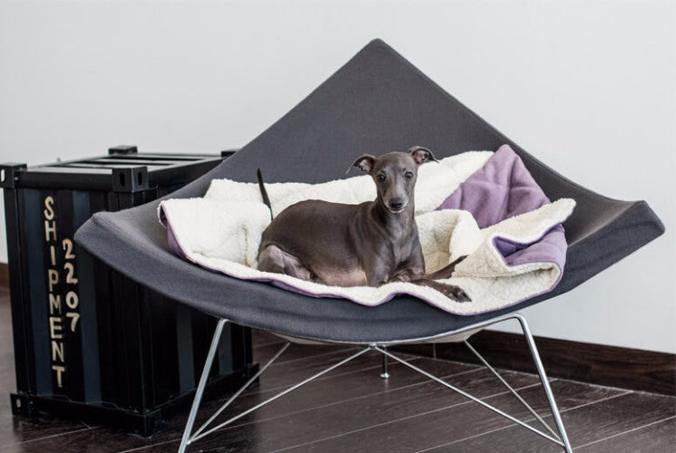 Bowl &amp; Bone Republic Dreamy Bed Mint, Cave Dog Bed | Barks &amp; Bunnies