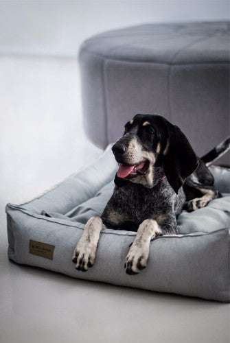 Bowl &amp; Bone Republic Urban Bed Grey, Dog Bed | Barks &amp; Bunnies