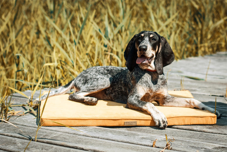 Bowl & Bone Republic Chill Mat Rose, Dog Bed | Barks & Bunnies