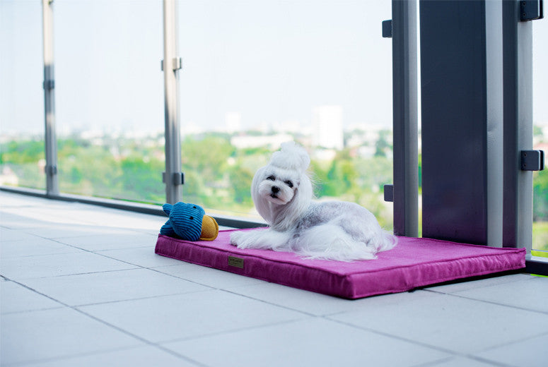 Bowl &amp; Bone Republic Chill Mat Rose, Dog Bed | Barks &amp; Bunnies