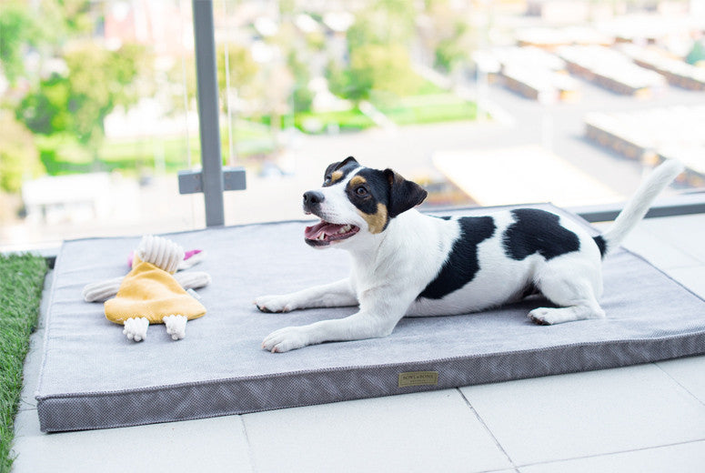 Bowl &amp; Bone Republic Chill Mat Rose, Dog Bed | Barks &amp; Bunnies