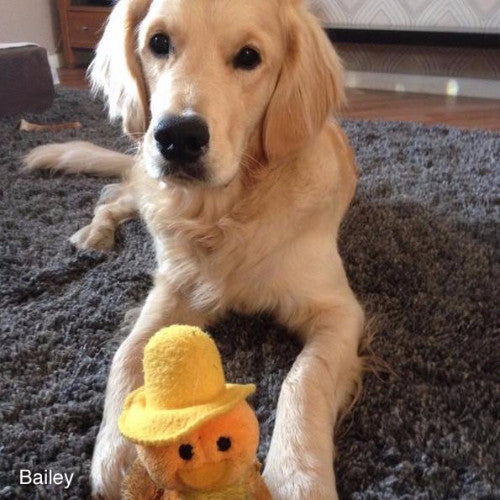 Gor Pets Quack Duckling plush dog toy | Barks & Bunnies