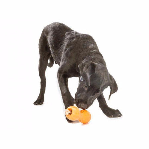 Zogoflex Qwizl, Interactive Extra tough Dog Toy UK | Barks &amp; Bunnies