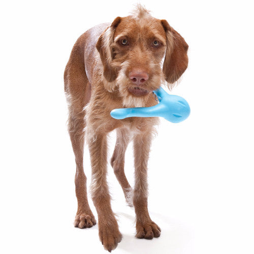 Zogoflex Tizzi, Zogoflex Dog Toys UK Stockist | Barks &amp; Bunnies